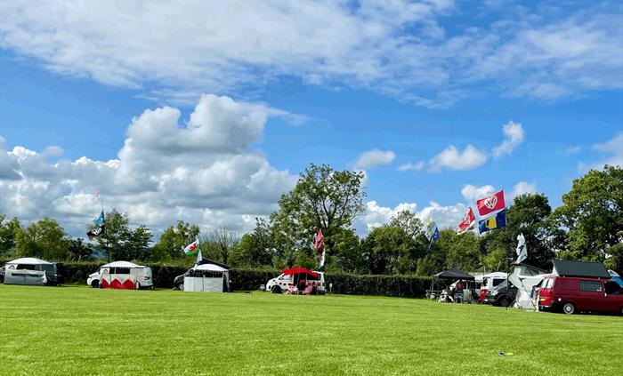 camper vans on a sunny day on our freshly mowed grass on campsite